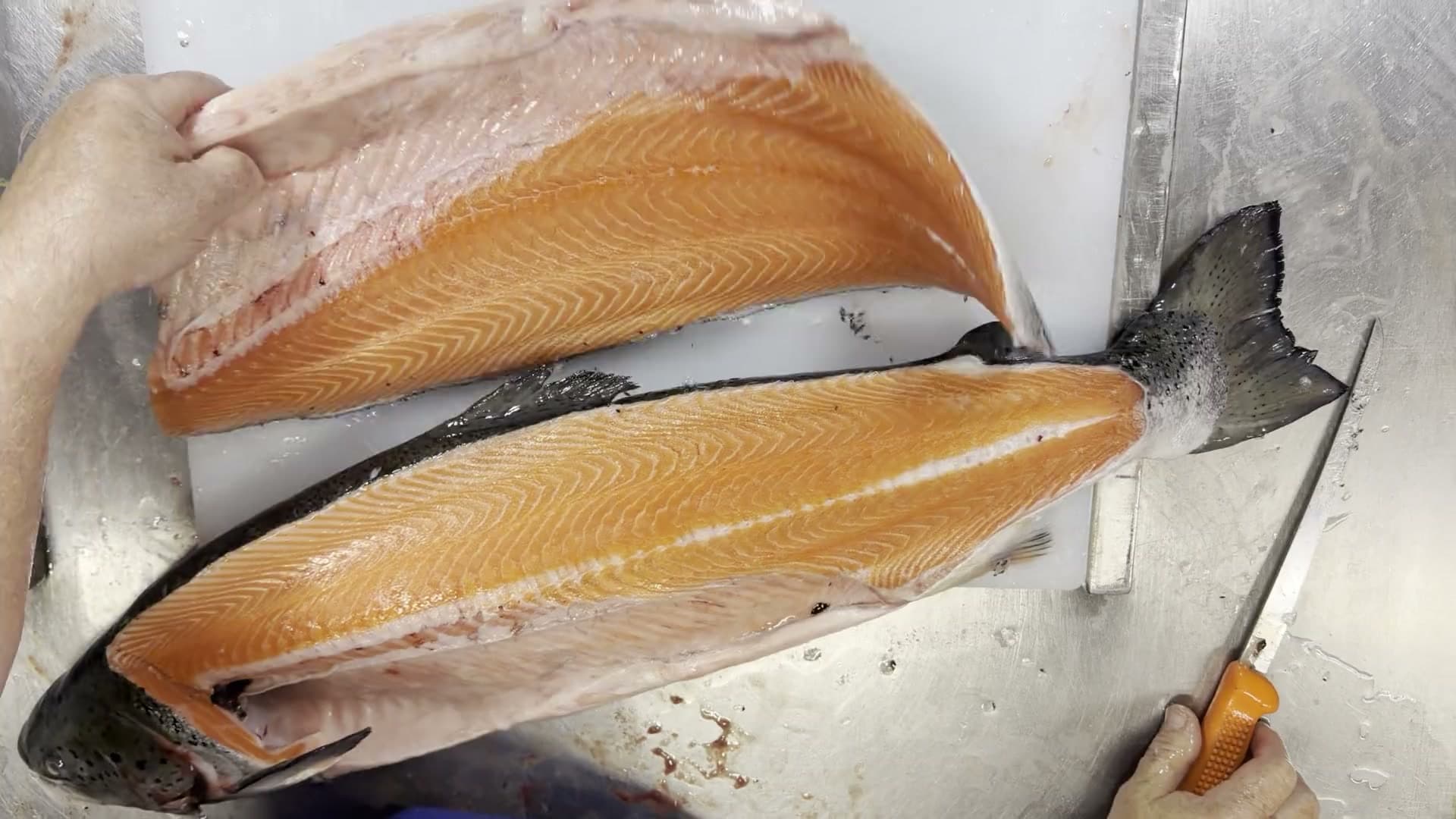 A salmon filleted on the cutting board